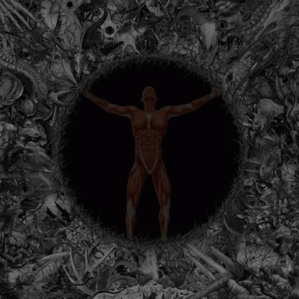 Shroud Of Despondency : Cull Shroud Of Despondency : Cull